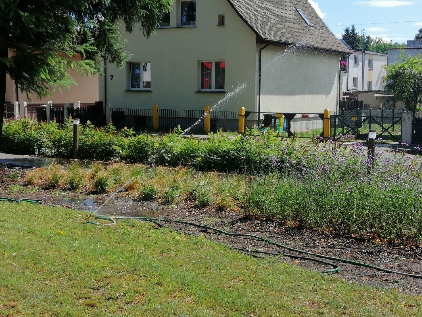 Wodna kurtyna nad alejką. Ale chyba nie o to chodziło?