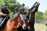 Za mało policjantów na chorzowskich ulicach. Na zachętę dostaną mieszkania