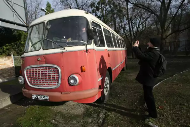 Zobaczymy zabytkowe autobusy. Klub miłośników komunikacji obchodzi jubileusz