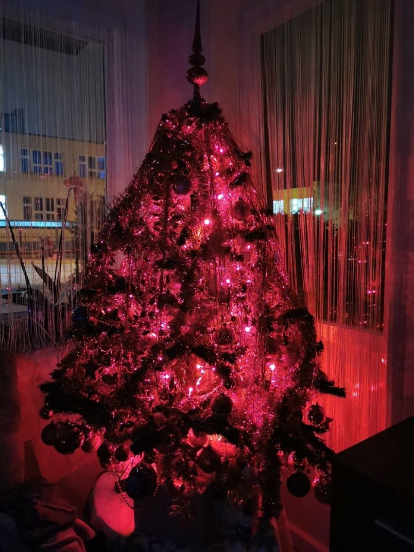 Pochwalcie się swoimi choinkami! Fotogaleria świątecznych drzewek naszych internautów z powiatu wejherowskiego