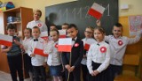 "Szkoła do hymnu" 2021 w Piotrkowie. Uczniowie SP nr 13 śpiewali "Mazurka Dąbrowskiego" ZDJĘCIA, FILM
