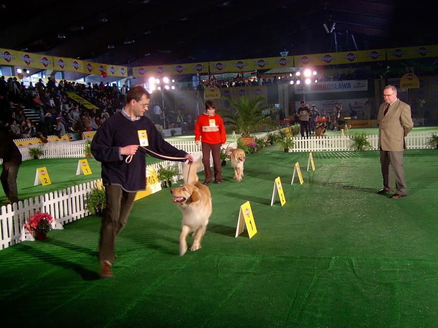 Wystawa Champion of Champion's w Lesznie z 2004 roku