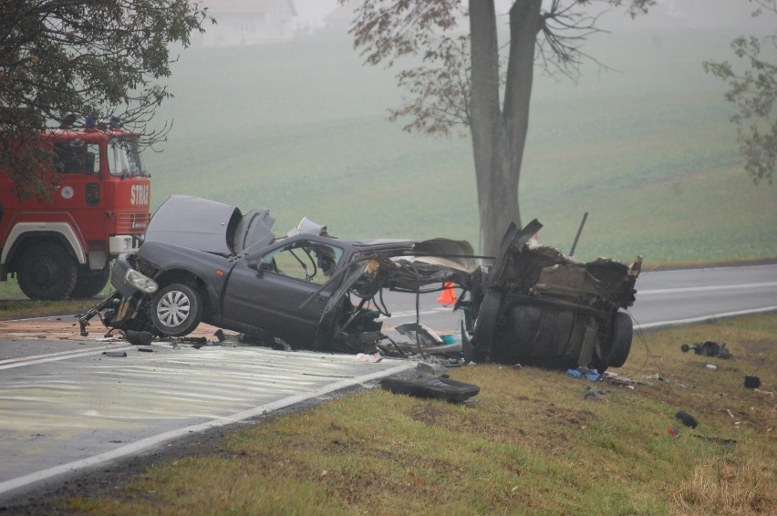 Wypadek koło Bądek. Nie żyje 22-letni mężczyzna [ZDJĘCIA]