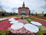 Ostatnie przygotowania do Festiwalu Kwiatów i Sztuki w Zamku Książ w Wałbrzychu 2023. Wiemy, co będzie w zamku! ZDJĘCIA