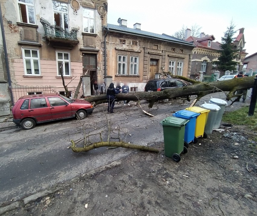 Na ul. Parkowej w Przemyślu drzewo runęło na kamienicę i samochody [ZDJĘCIA]