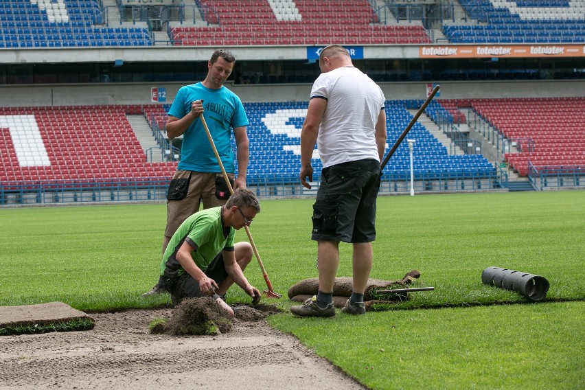 Mecz Polska-Litwa. Na stadionie Wisły Kraków położono nową trawę [ZDJĘCIA]