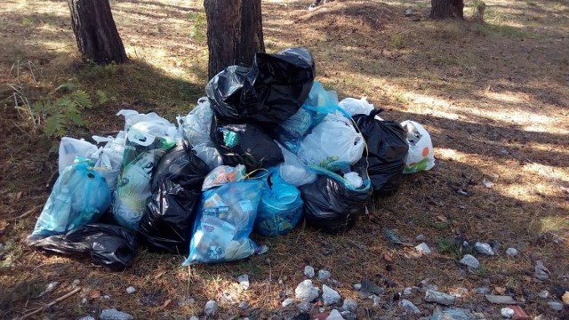 Worki i rękawice do zbiórki odpadów mieszkańcy dostaną za darmo. Wystarczy zgłosić się do Urzędu Miejskiego w Łabiszynie.