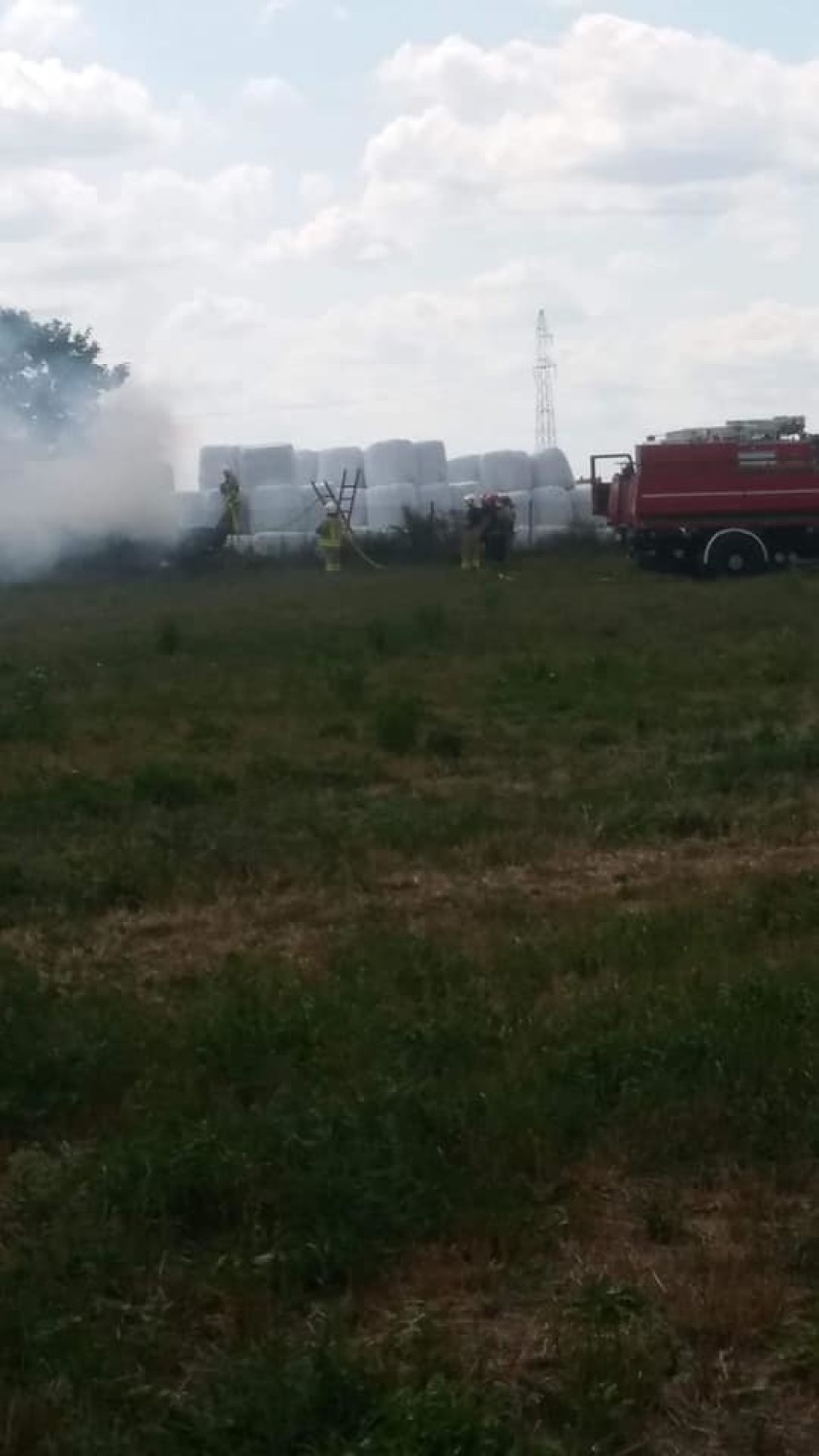 Pożar na polu w Trzuskołoniu. Spaliła się słoma, pożar...