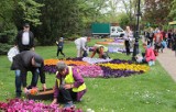 Maj w ogrodzie botanicznym w Grudziądzu. Warsztaty z Centrum Edukacji Ekologicznej [zdjęcia]