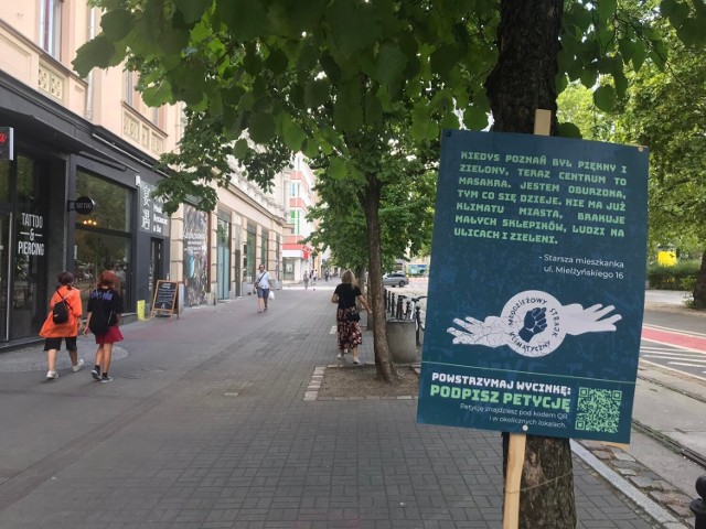 Młodzieżowy Strajk Klimatyczny - Poznań przygotował akcję „W cieniu tych drzew”.