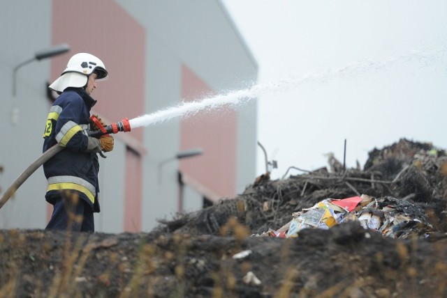 Strażacy dogaszają pożar na terenie sortowni odpadów przy ul. Piastowskiej w Przemyślu. Ogień zauważono w niedzielę po godz. 16. Paliły się trzy hałdy sprasowanych śmieci o wysokości ok. 20 m oraz wiata z butelkami typu PET. Udało się obronić główną halę sortowni. Najprawdopodobniej przyczyną pożaru był samozapłon śmieci.