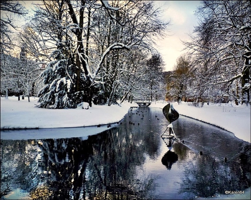 Zima w Parku Oliwskim 2011
