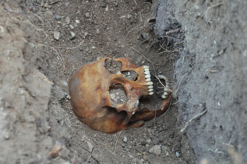 W centrum Sejn, na Wzgórzu św. Jerzego archeolodzy wykopali czaszkę. Prokuratorzy ustalą, kiedy i kto został zakopany [Zdjecia]