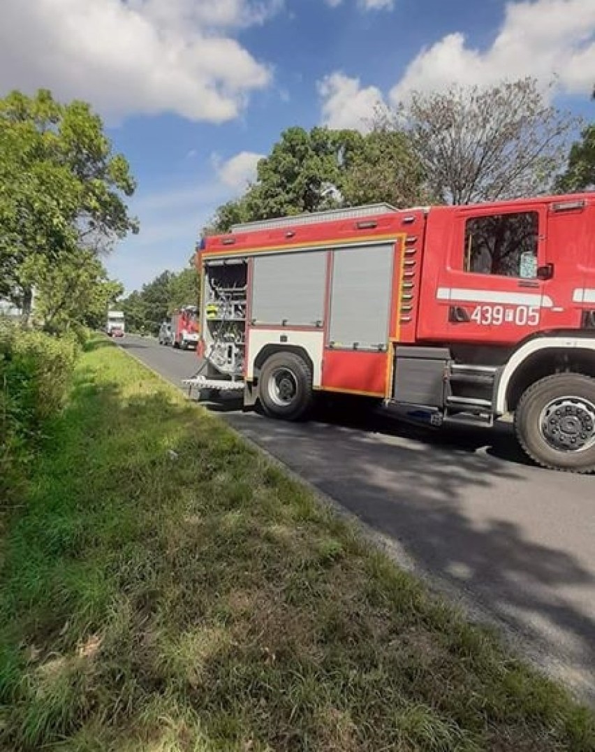 Wypadek na drodze Głogów - Sława. Pomiędzy Starym Strączem a Przydrożem auto wpadło do rowu