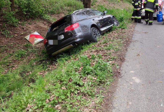 Woźniki. Pijany kierowca wjechał do rowu