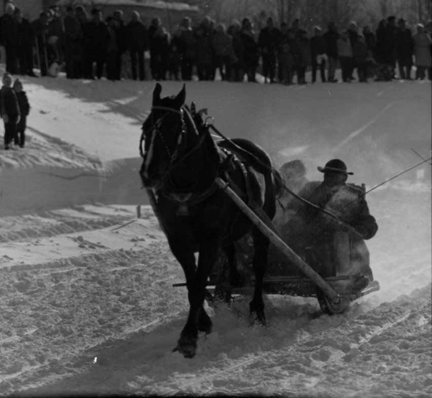 Zakopane. Zobacz, jak w latach 50. górale organizowali konne wyścigi na śniegu [ARCHIWALNE ZDJĘCIA]