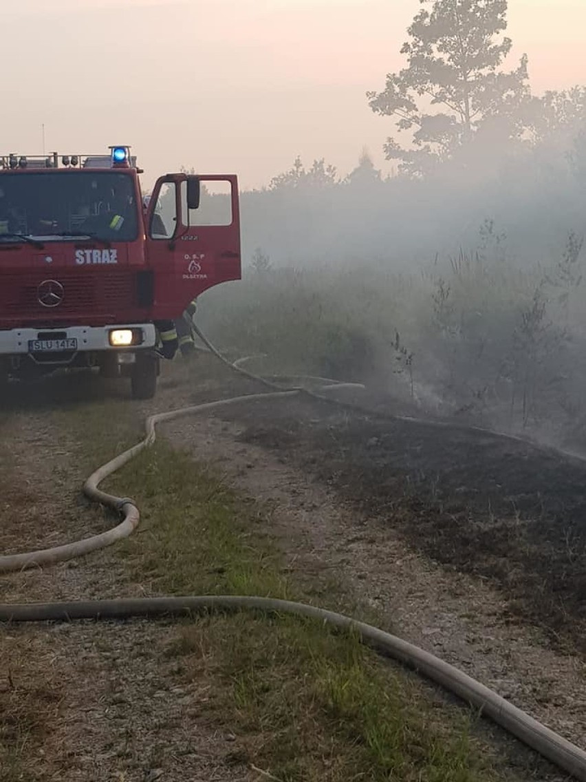 Pożar lasu w Herbach i Kalinie 20 - 21.07.2019.