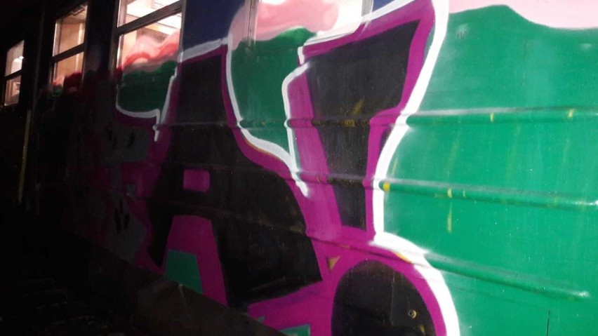 Grafficiarze pomalowali wagon SKM na bocznicy w Gdyni Chyloni [ZDJĘCIA]