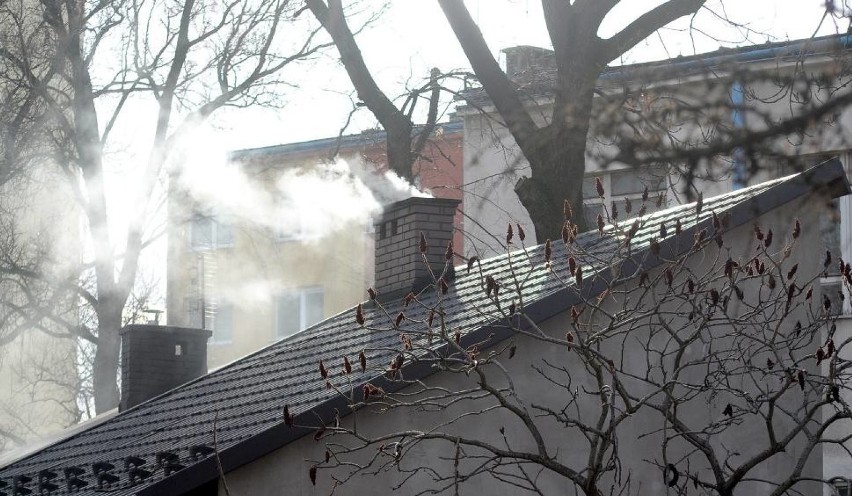 Wielichowo: Ruszają kontrole, czym mieszkańcy palą w piecach