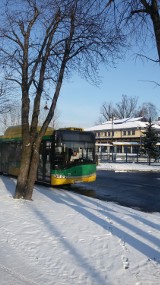 Autobusy w Bieruniu: Jeździmy z MZK Tychy
