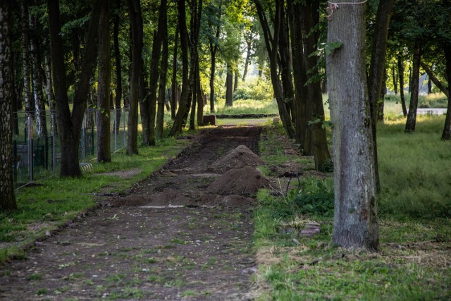 Ruszyły prace związane z rewitalizacją parku w Wolbromiu