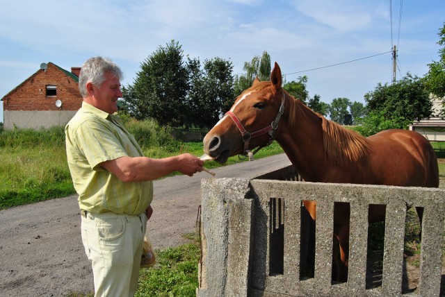 Sołtys Marian Kaczmarek uwielbia konie