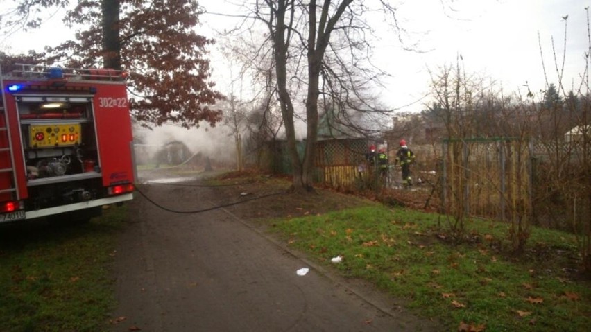 Pożar na Sępolnie. Interweniowały trzy zastępy straży pożarnej [ZDJĘCIA]