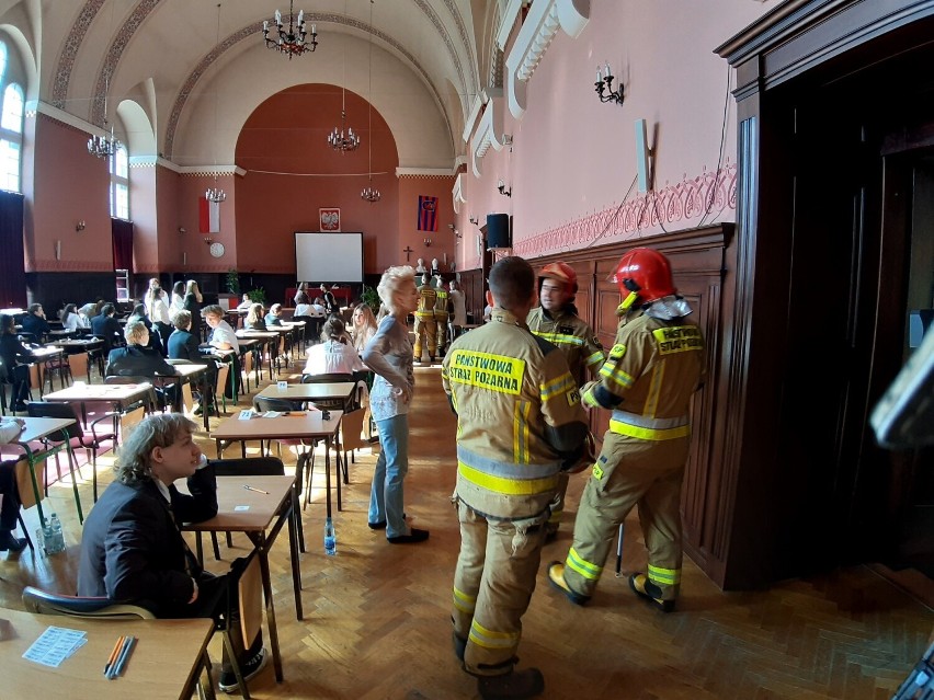 Gołąb opóźnił rozpoczęcie matury w jednym ze szczecińskich liceów