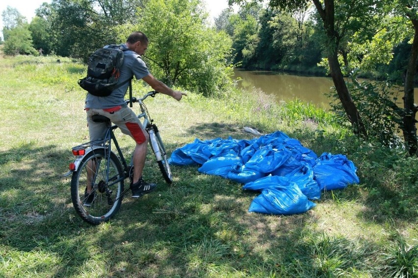 Z Odry pod Wrocławiem wyłowiono mnóstwo śniętych ryb