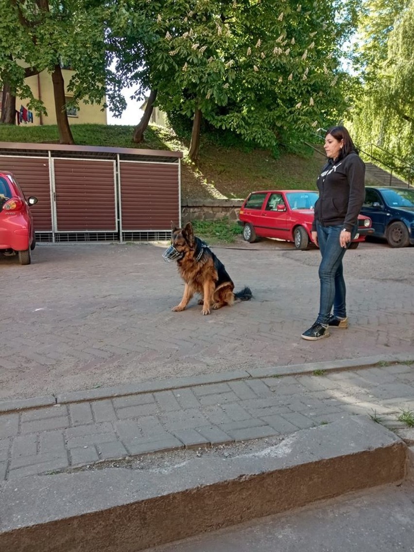 Pupile mieszkańców Siemianowic Śląskich