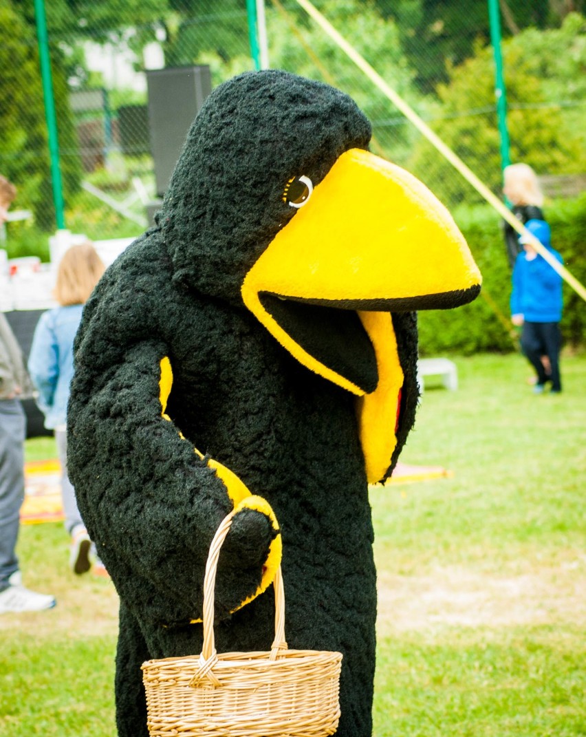 Piknik rodzinny w Gimnazjum na Polnej we Wronkach