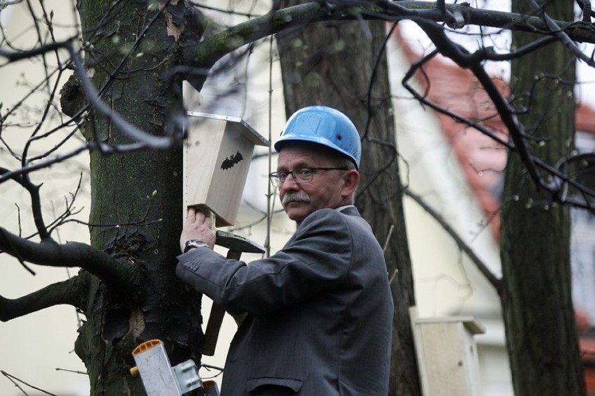 Budki dla ptaków w siedzibie Wojewódzkiego Funduszu Ochrony...