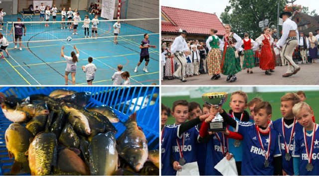 W ramach tegorocznego Budżetu Obywatelskiego Województwa Małopolskiego 12 mln zł rozdzielono głównie na zadania sportowe i kulturalne.