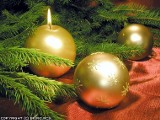 Wesołych Świąt i szczęśliwego Nowego Roku 2011 życzy Bank Spółdzielczy w Pruszczu Gdańskim