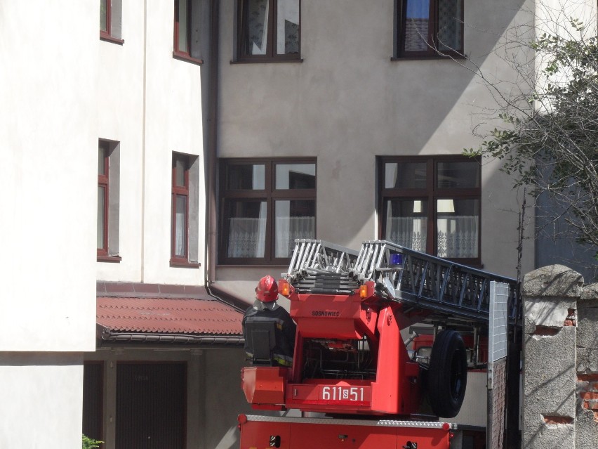 Strażacy w akcji: likwidacja gniazda os w klasztorze [ZDJĘCIA]