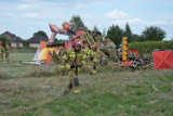 Katastrofa samolotu pod Piotrkowem. Komisja badania wypadków lotniczych gromadzi materiały