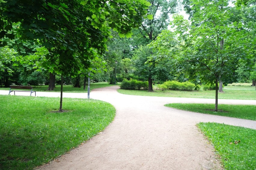 Ogród Krasińskich. historyczny park, który odzyskał dawną świetność. Wybierz się na spacer wśród pięknych kasztanowców