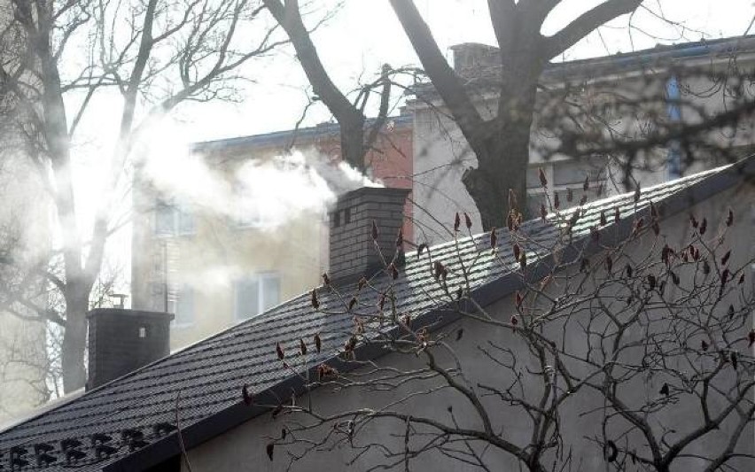 Zobacz, czy mieszkasz na ekoosiedlu. Gdzie w Szczecinie jest dużo zieleni i mało hałasu