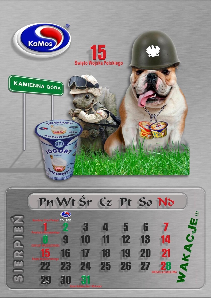 Zobacz nowy kalendarz spółdzielni mleczarskiej "Kamos" z Kamiennej Góry. Zobacz zdjęcia! 