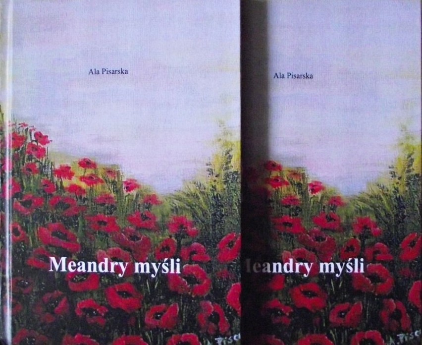 Meandry myśli - Ala Pisarska