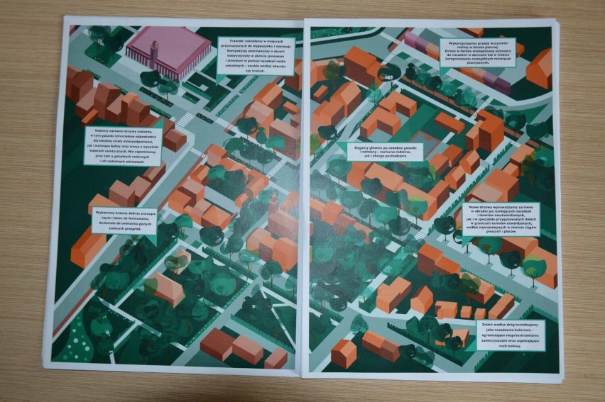 Kodeks zasad, czyli jak tworzyć i dbać o zieleń miejską w Zduńskiej Woli ZDJĘCIA