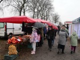 Jarmark w Krzywosądzy. Rasowe króliki mięsne - ceny, zdjęcia [12 lutego 2024]