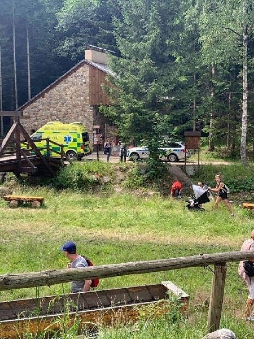 Wypadek opolskiej rodziny w skansenie w Czechach. Cztery osoby ranne, w tym dwie ciężko
