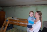 Mieszkania w Kwidzynie: Rakotwórczy grzyb na ścianach mieszkania dziewięcioosobowej rodziny
