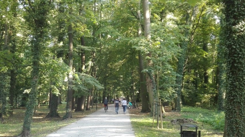 Wolsztyn to nie tylko parowozy, to także piękne jeziora,...