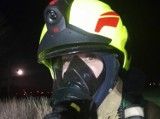 Pożary pustostanów w Malborku i podpalenia traw w powiecie. Tygodniowy raport Komendy Powiatowej PSP