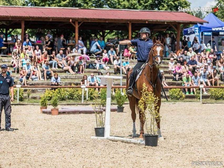 Międzynarodowe zawody policji konnej w Brnie 2018 ZDJĘCIA