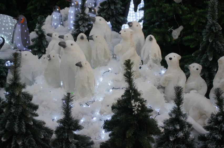 Świąteczna dekoracja w Centrum Ogrodniczym Lilia w Wieluniu[ZDJĘCIA]