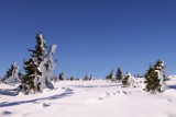 Śnieżka zimą - zdjęcia