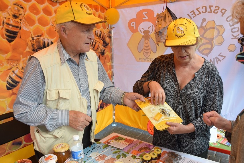 Piknik z Organizacjami Pozarządowymi w Zawierciu ZDJĘCIA